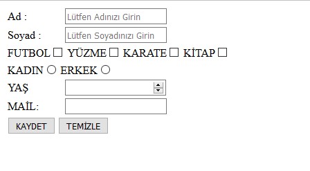 Html Form Sorunları